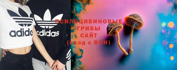 кокс Кирсанов