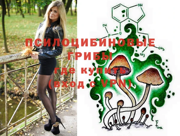 хмурый Лагань