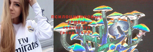 хмурый Лагань