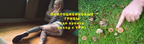 хмурый Лагань