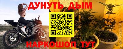 сатива Заволжье