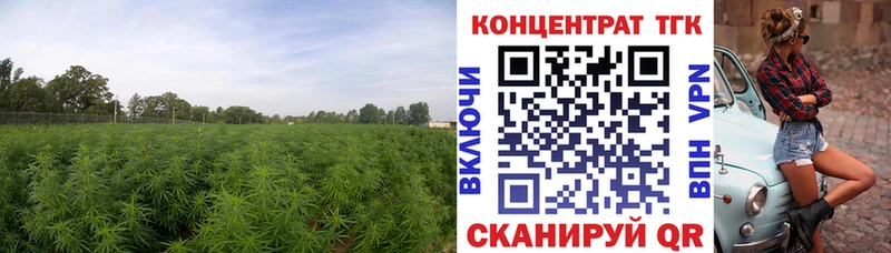 ТГК вейп с тгк Малгобек