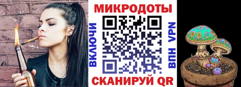 Галлюциногенные грибы Psilocybe Малгобек