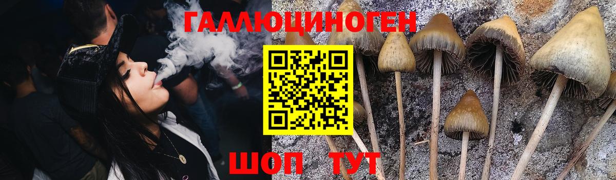 Малгобек  купить наркоту  Вход с VPN  Галлюциногенные грибы Magic Shrooms 