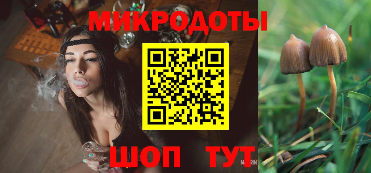 Галлюциногенные грибы Psilocybine cubensis Малгобек