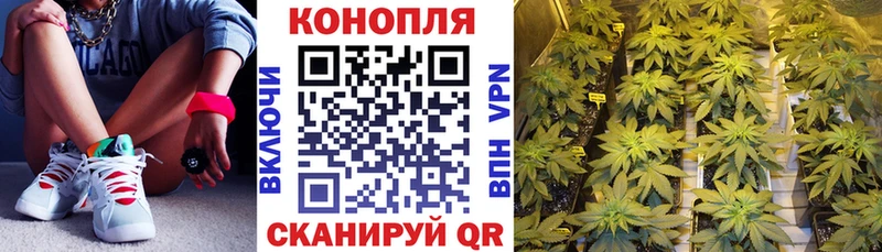 закладки  Малгобек  МАРИХУАНА AK-47 